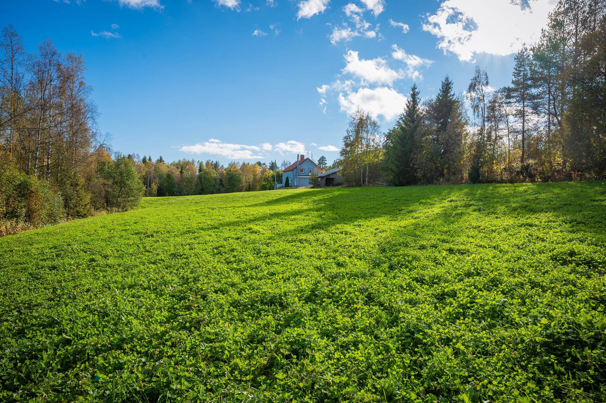 5 rum Gård/skog på Önska 122 Önska Örnsköldsviks kommun - bild 47