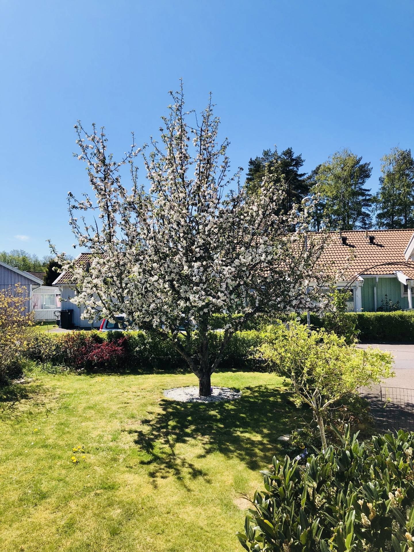 2 rum Parhus på Ulrikagatan 8 Gamla staden Lidköpings kommun - bild 15