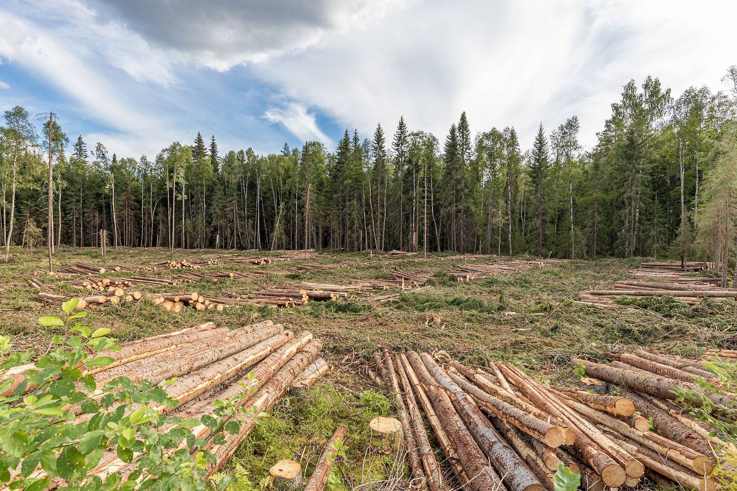 5 rum Gård/skog på Stora Årbotten Västra Klypa 1 Gunnarskog Arvika kommun - bild 44