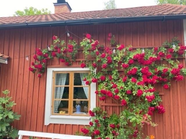 3 rum Vinterbonat fritidshus på Fogdö Norra Vik 10 Fogdö Vik Strängnäs kommun - bild 51