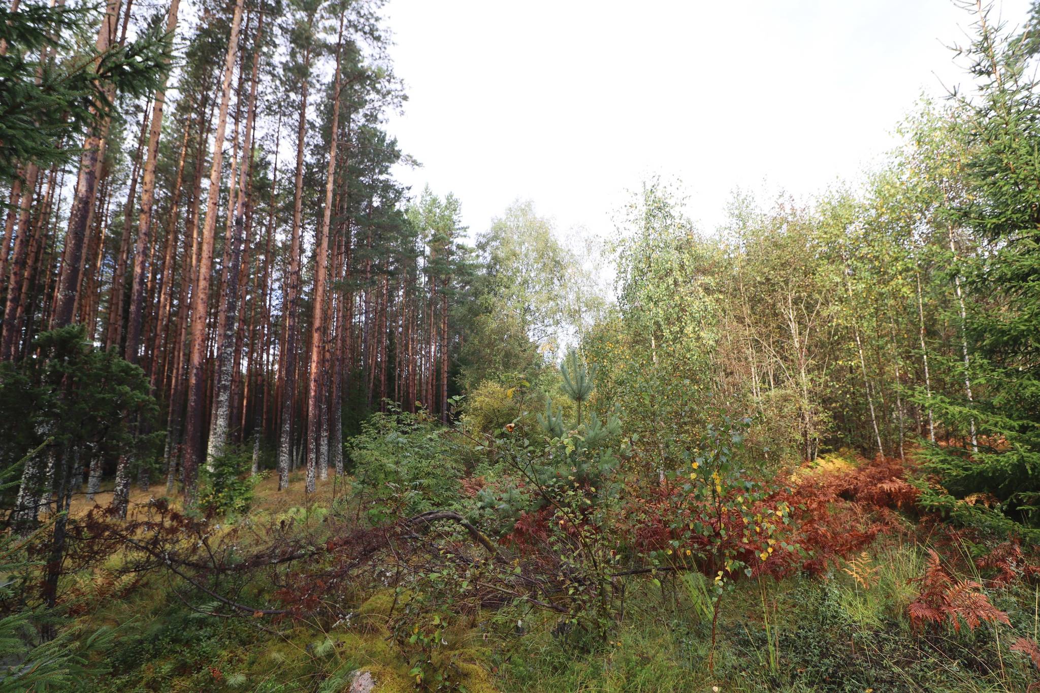 2 rum Gård/skog på Haglundavägen 17 Gottröra - Haglunda Norrtälje kommun - bild 5