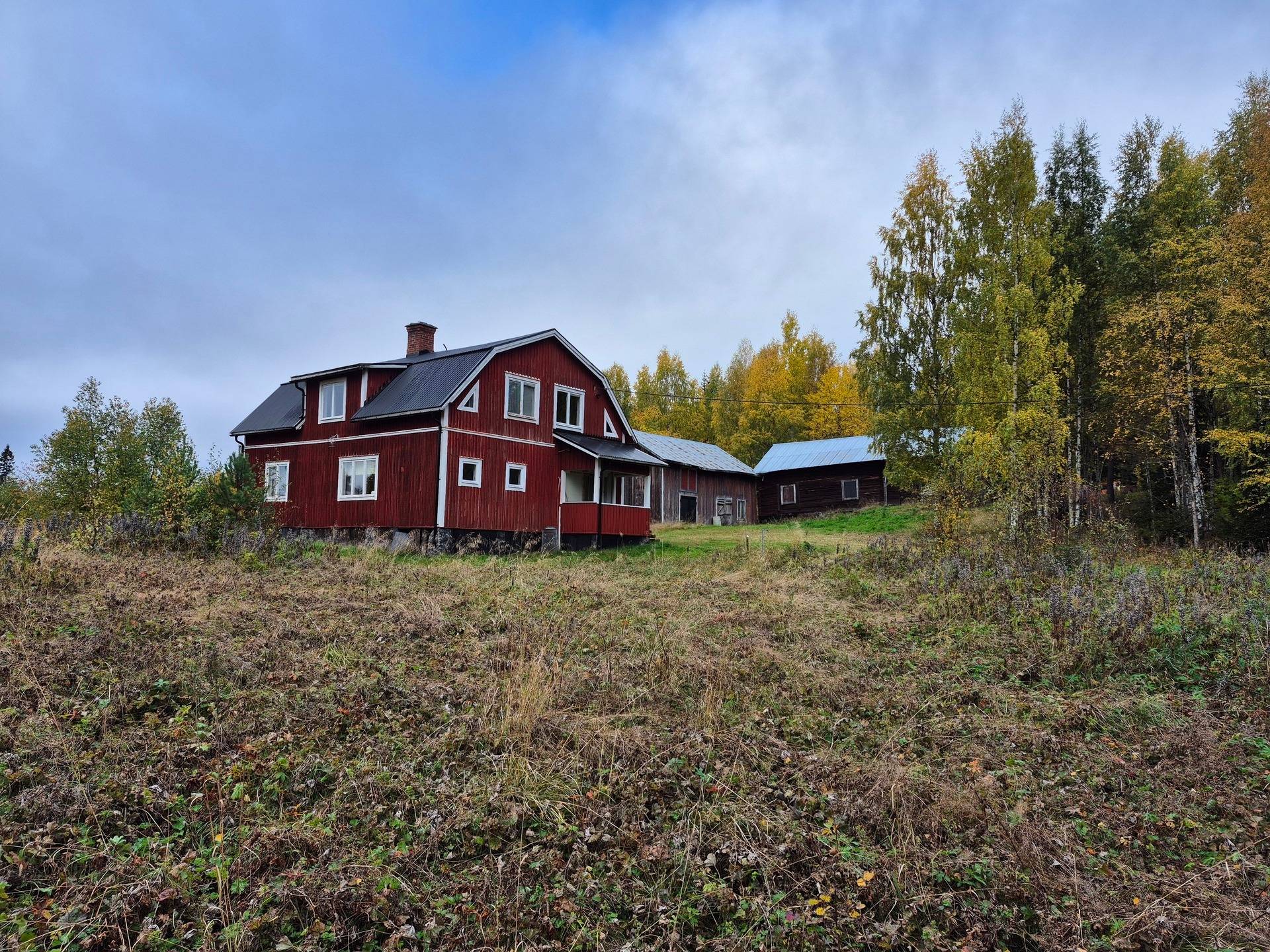 Gård/skog på Bördigt vid Norrberg LJUSDAL - NORRBERG Ljusdals kommun - bild 5