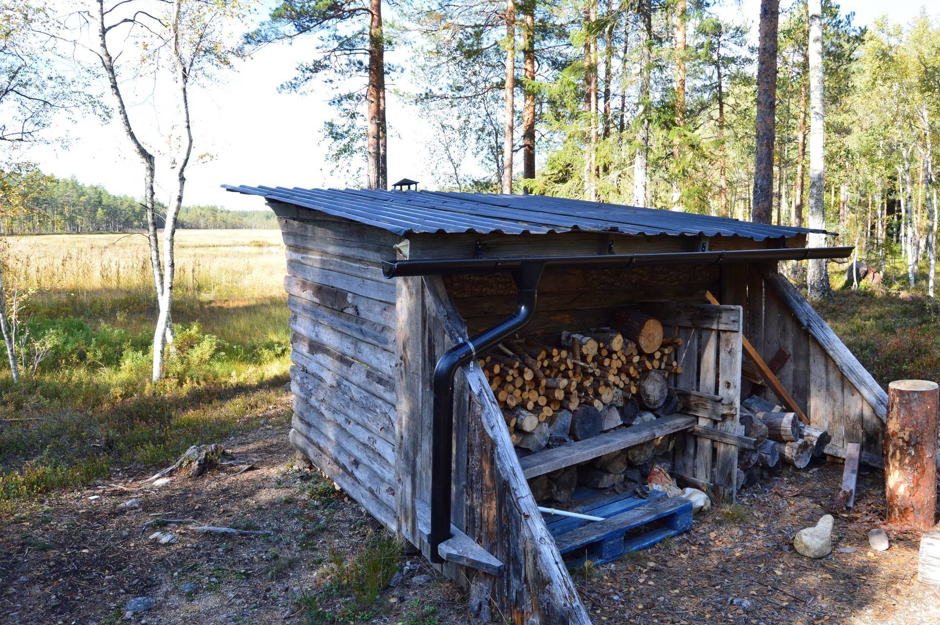 Gård med skogsbruk på Landtjärn Sandvikens kommun - bild 9
