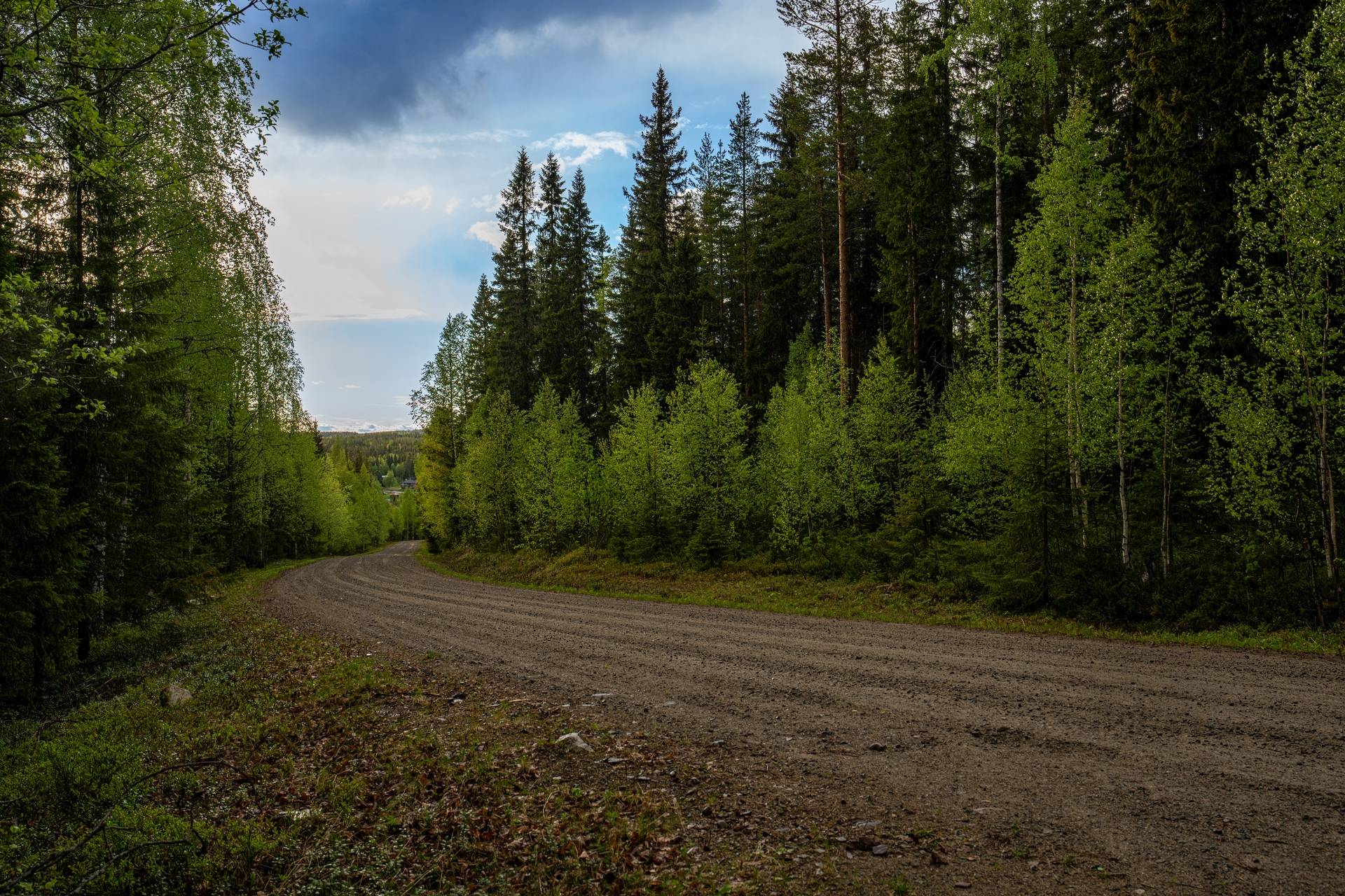 Gård/skog på Norsjö 8:89 Norsjö kommun - bild 34