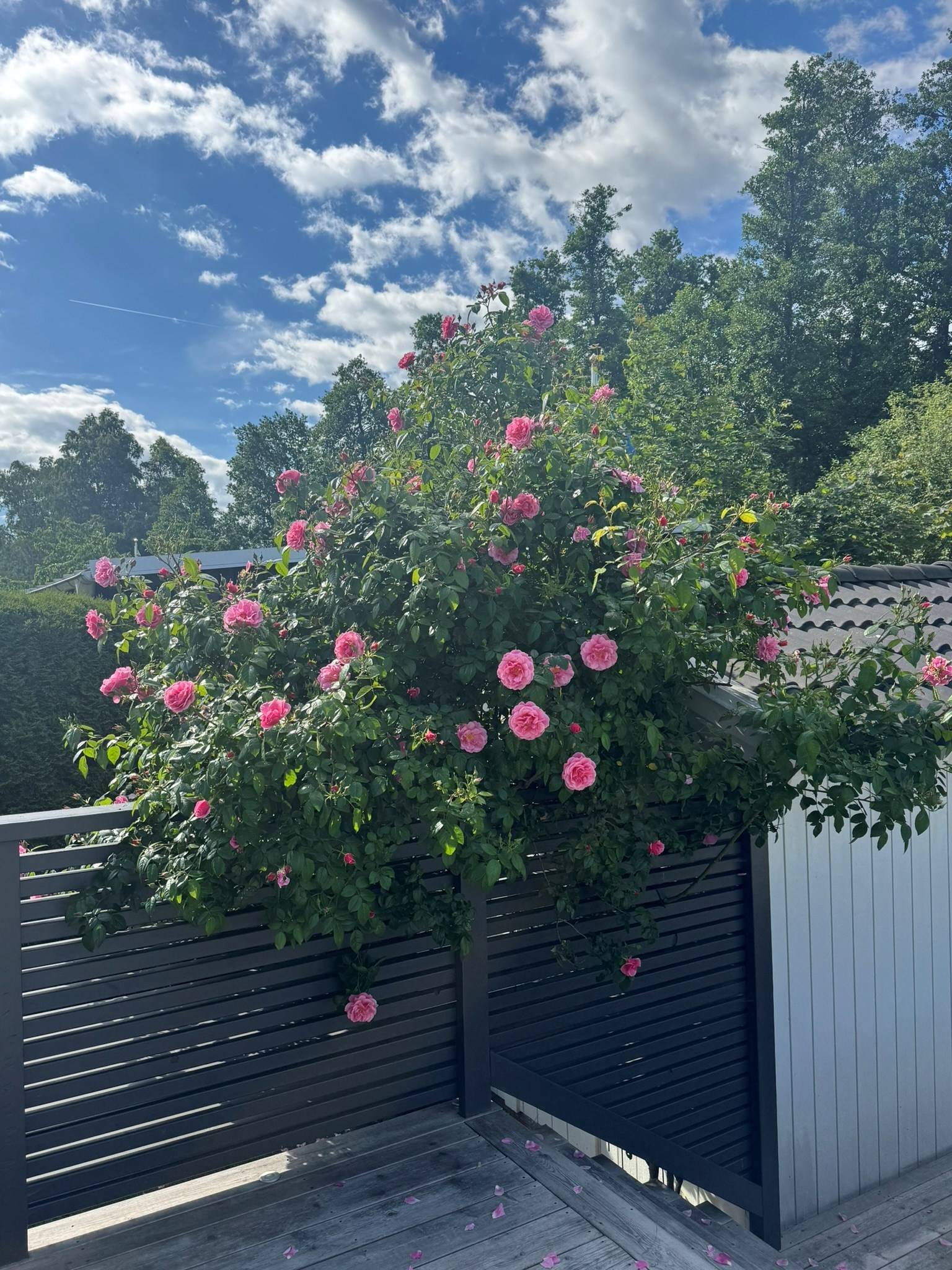 7 rum Villa på SÄTTERFJÄRDSVÄGEN 7 Margretelund Österåkers kommun - bild 78