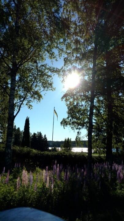 3 rum Fritidsboende på Södra Långsvansvägen 3 Donmora Skinnskattebergs kommun - bild 7
