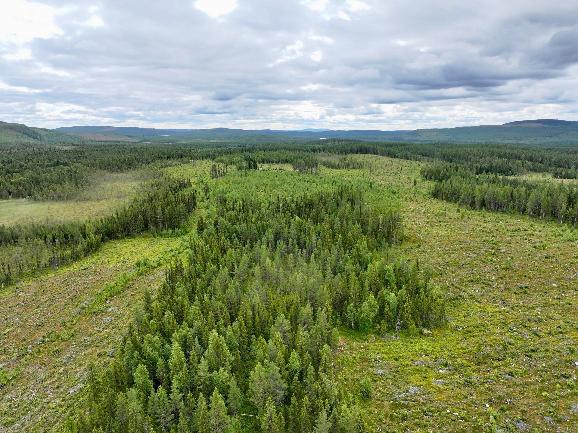 Gård/skog på Björksele 1:44 Lycksele kommun - bild 9