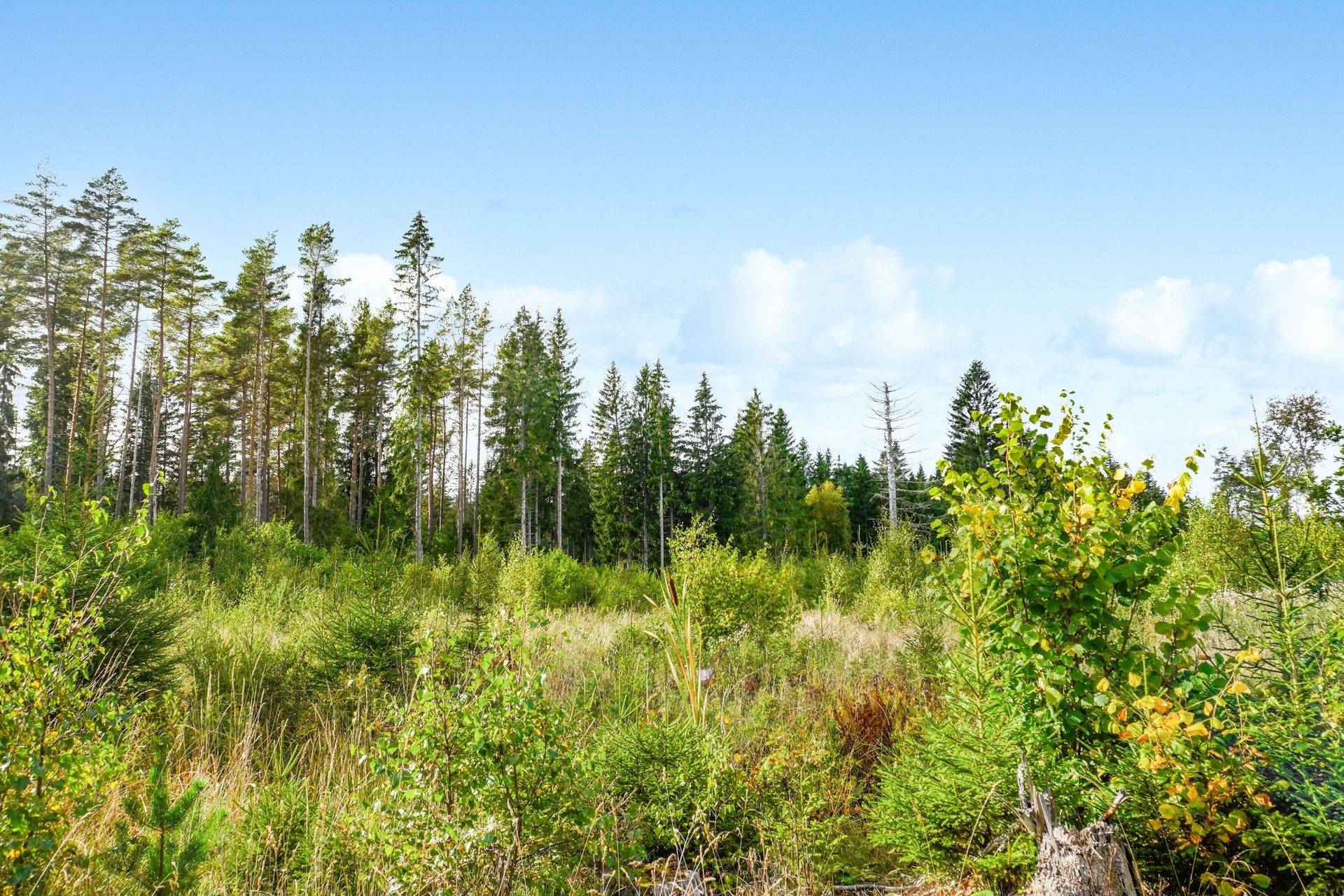 Gård med skogsbruk på NORRTÄLJE SÖDERMARJUM 2:2 Norrtälje kommun - bild 4