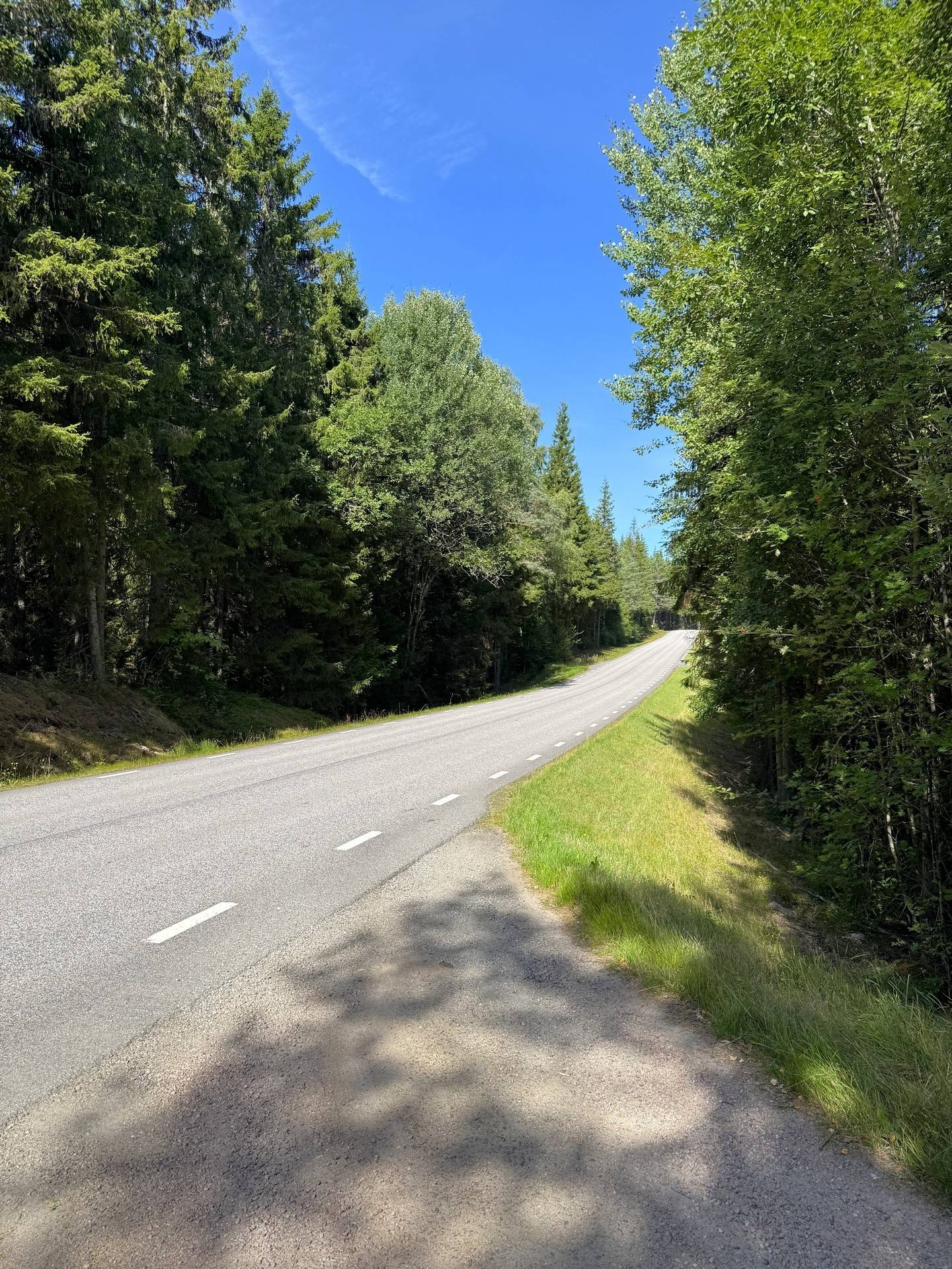 Gård med skogsbruk på Haga 1:3, 1:5 Nittorp Tranemo kommun - bild 38