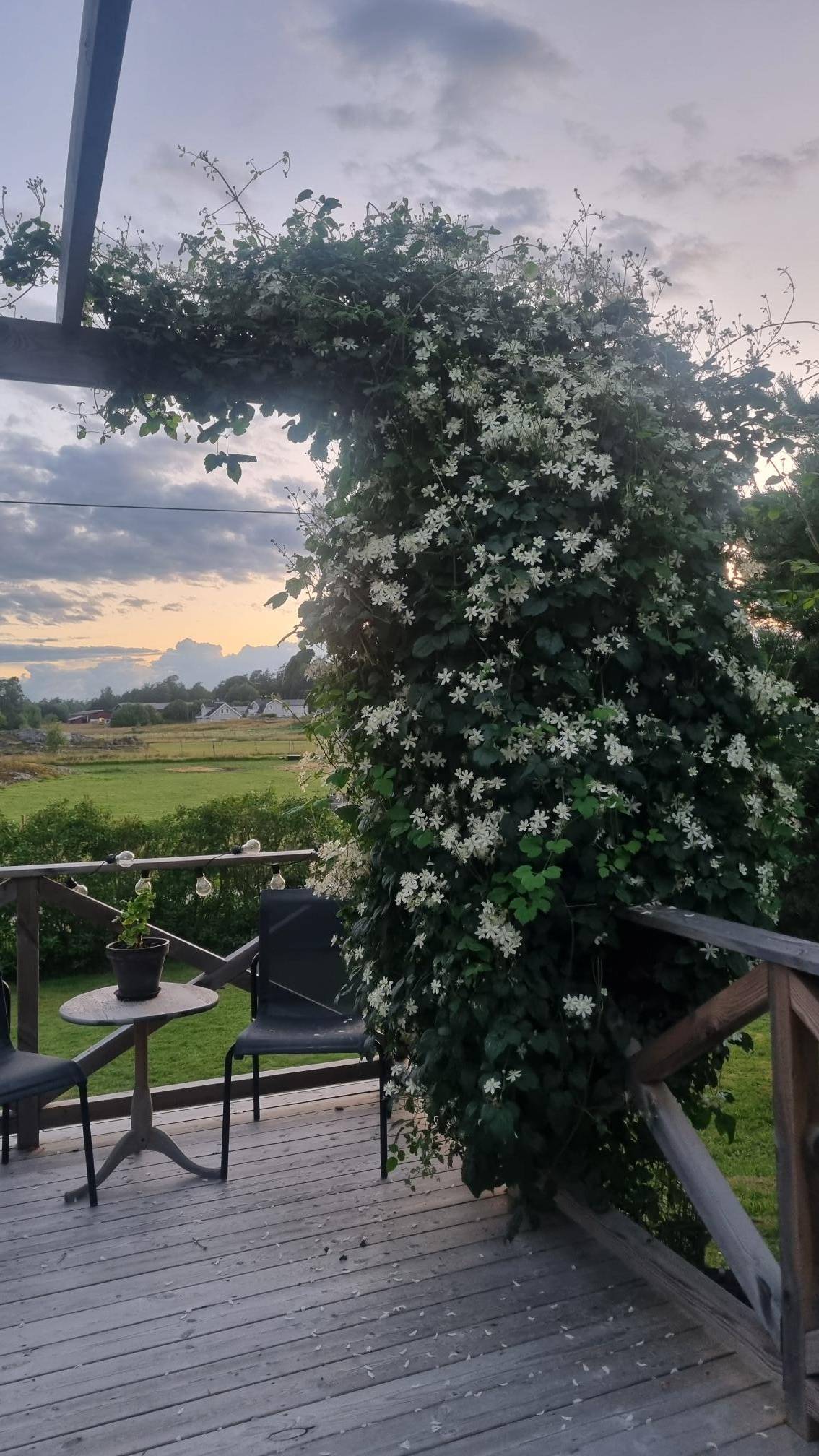 3 rum Villa på Fågelsunda 33 Fågelsunda Vallentuna kommun - bild 64