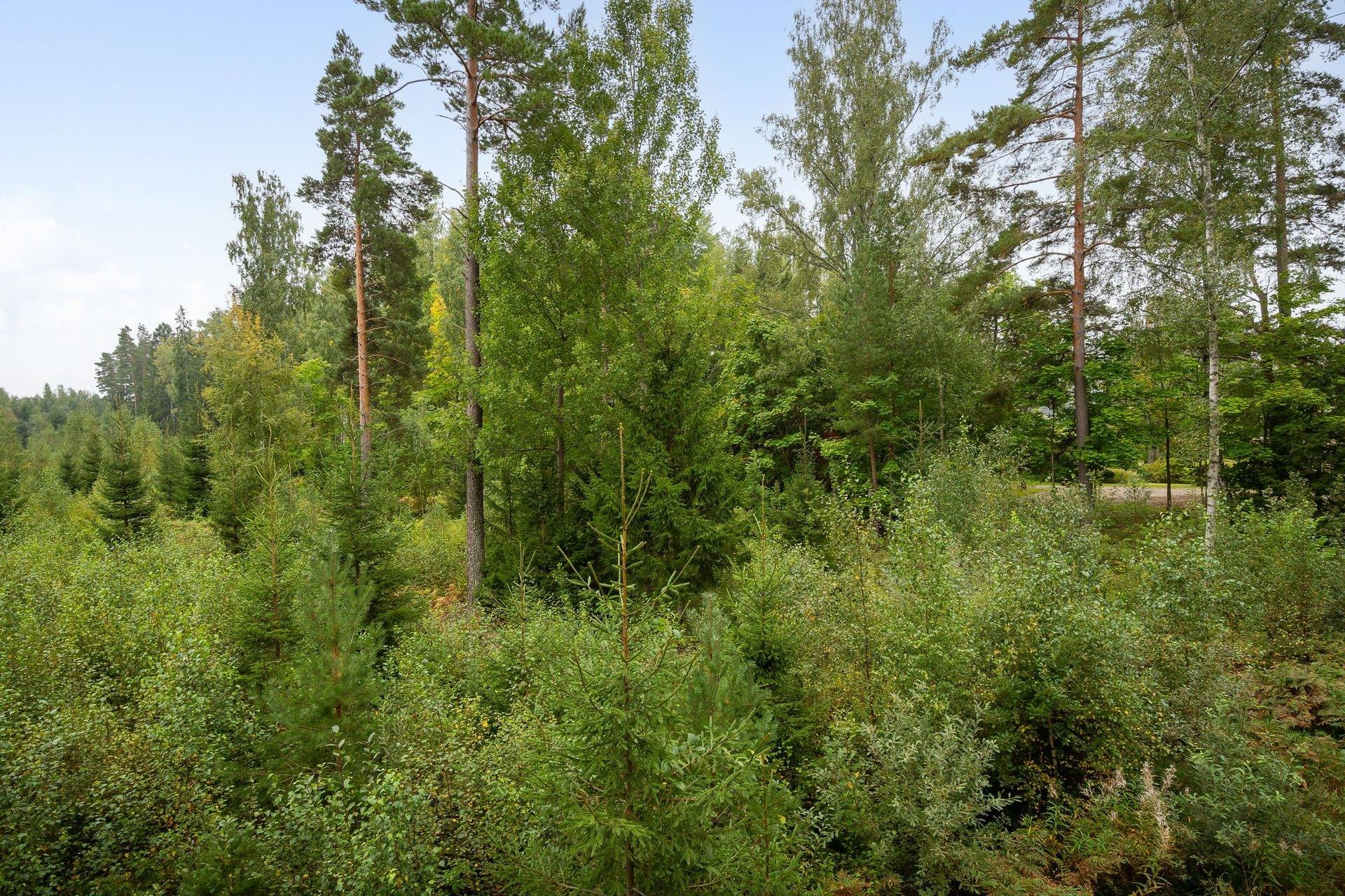 4 rum Villa på Stigtomta Björktorp Skogsäng 1 Nyköpings kommun - bild 27