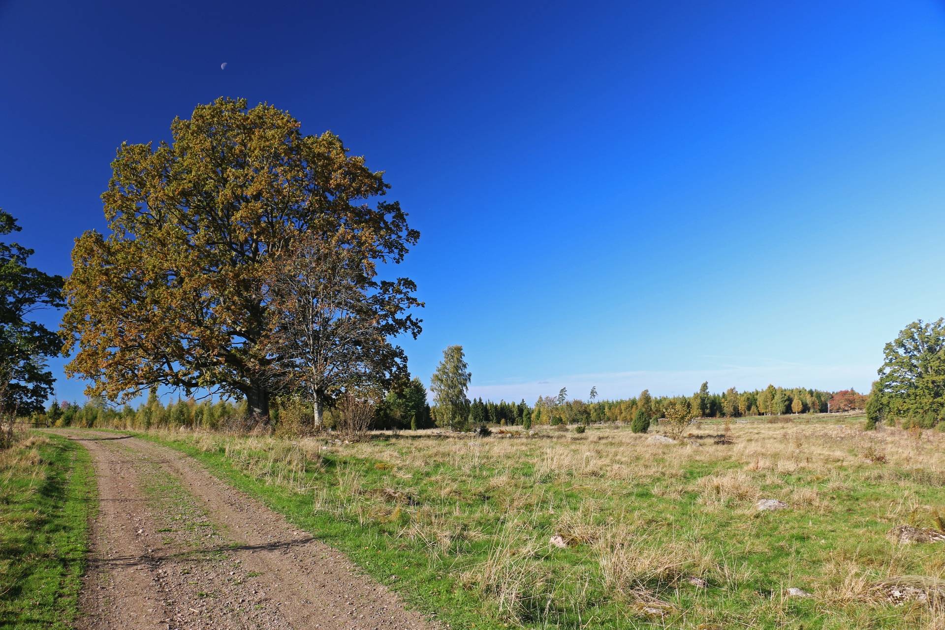 Gård med jordbruk på Älmekulla Ydre kommun - bild 13