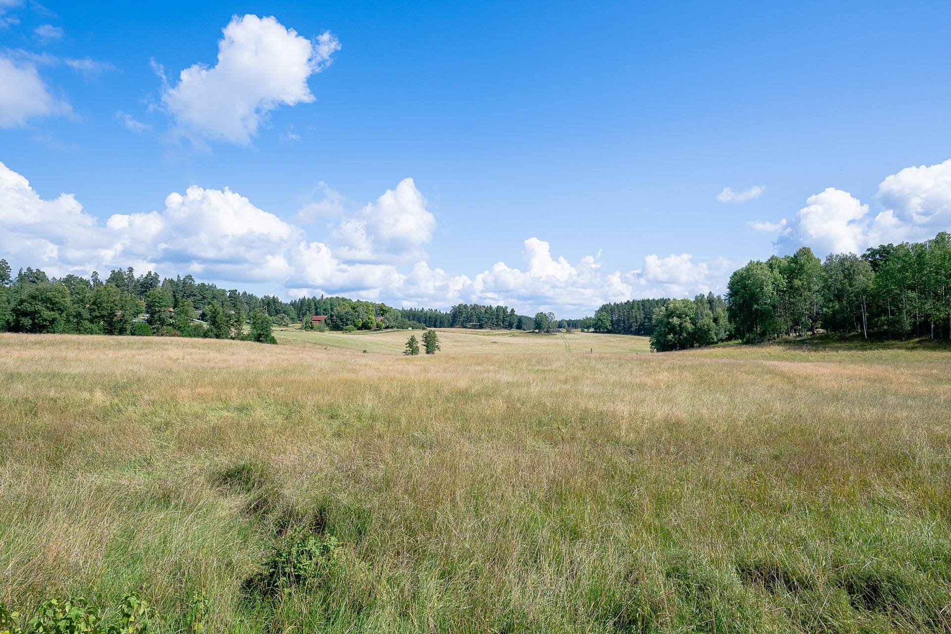 161 m² Gård utan jordbruk på Simora Mellangården 1 Bettna Flens kommun - bild 22