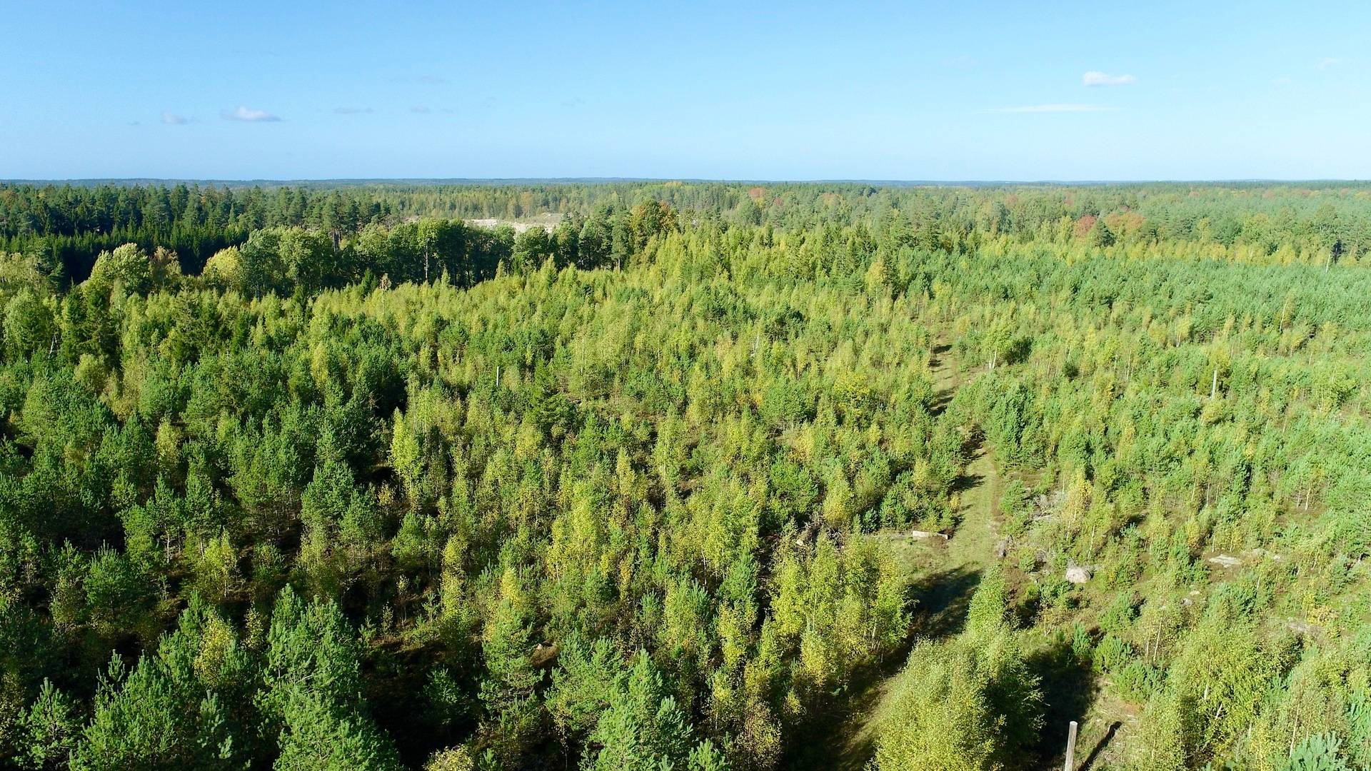Gård med skogsbruk Binneberg Skövde kommun - bild 31