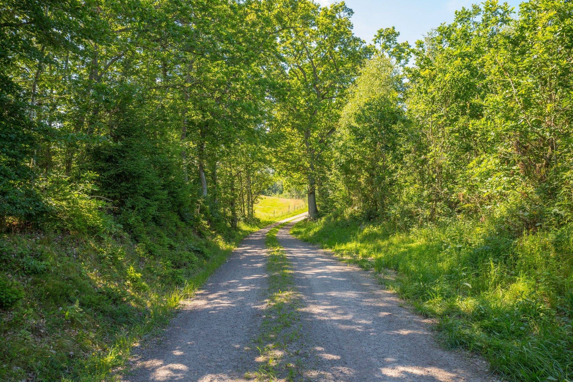138 m² Gård/skog på Ugglarp 1092 Klippans kommun - bild 28