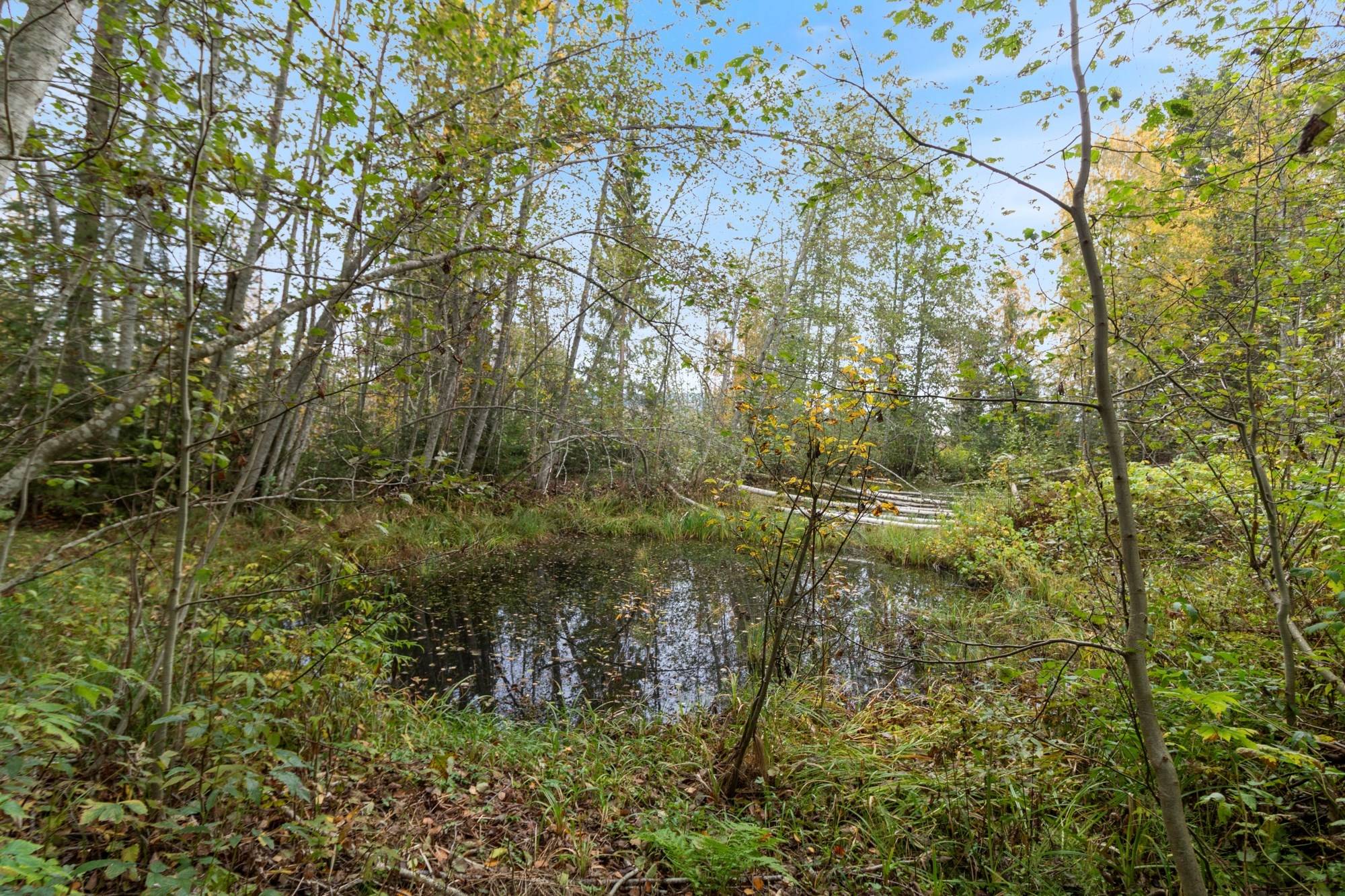 2 rum Gård/skog på Sörvigge 132 Sörvigge Sundsvalls kommun - bild 13