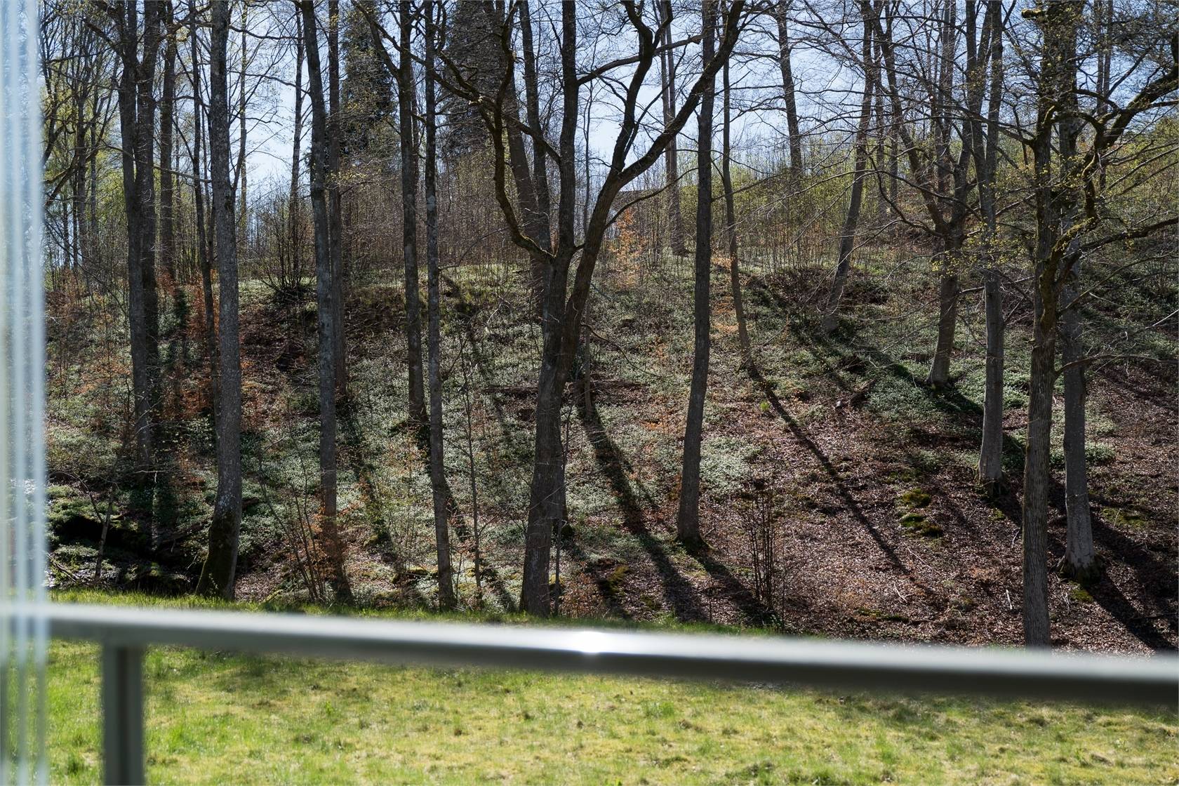 2 rum Lägenhet på Hälle Lider 14 Ljungskile Uddevalla kommun - bild 20