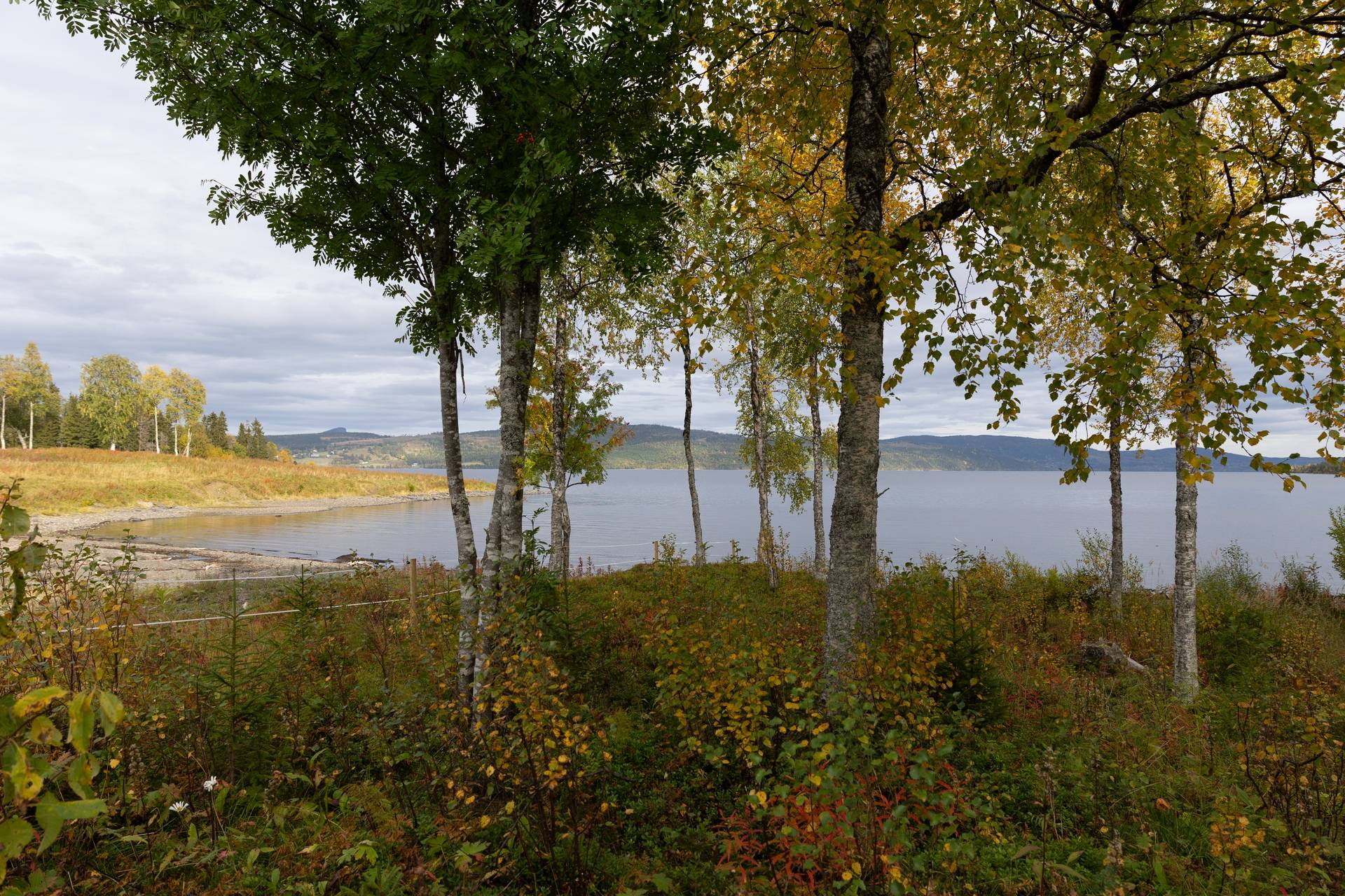 7 rum Gård utan jordbruk på Smedjeviken 266 Järpen Åre kommun - bild 18