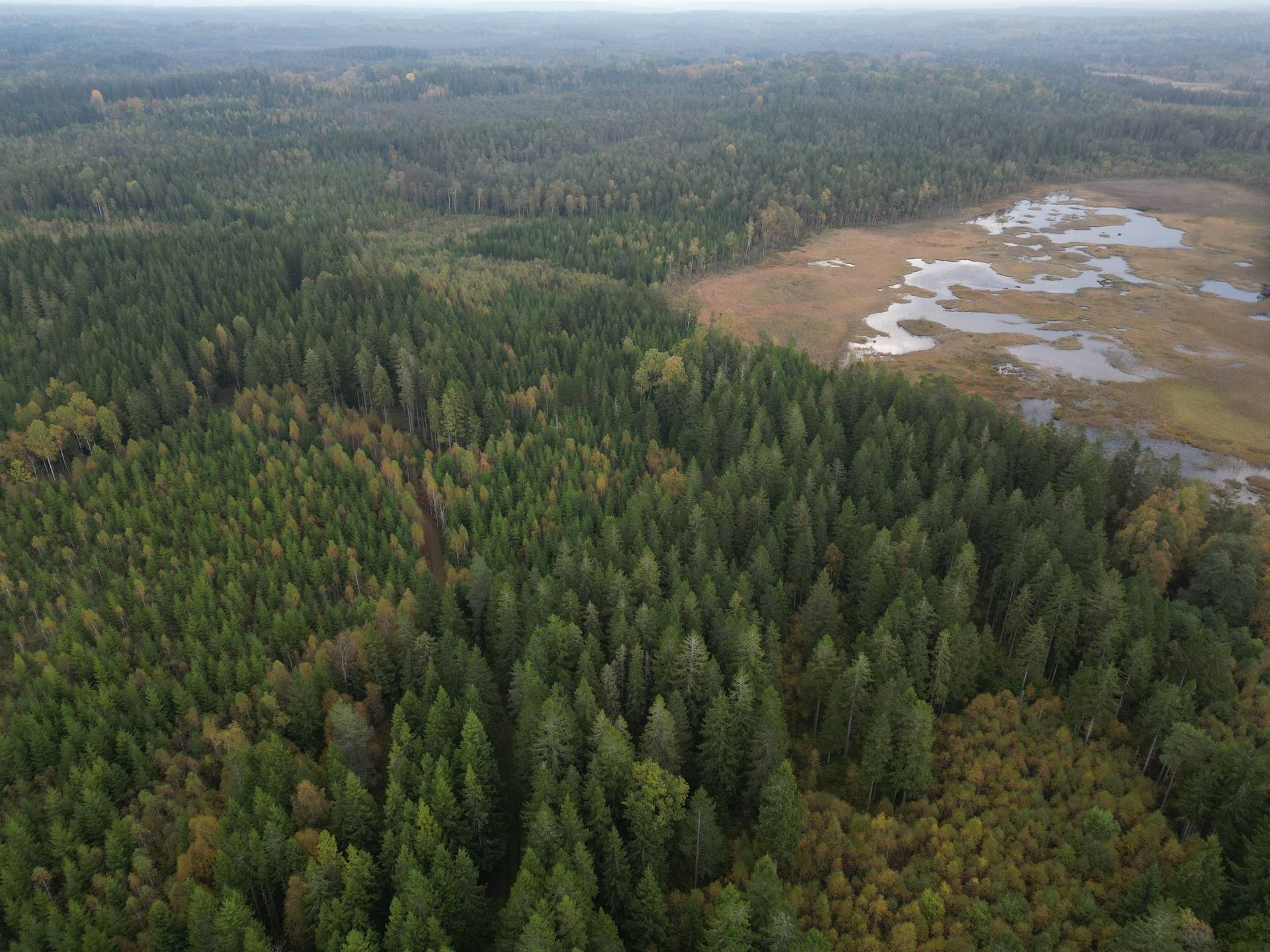gård med jordbruk på Yttrebo 107 Hyltebruk, Hylte kommun - bild 1