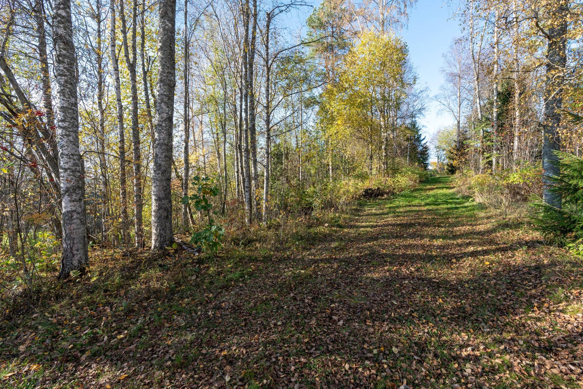 6 rum Villa på Solvägen 20 Kroksta Örnsköldsviks kommun - bild 40
