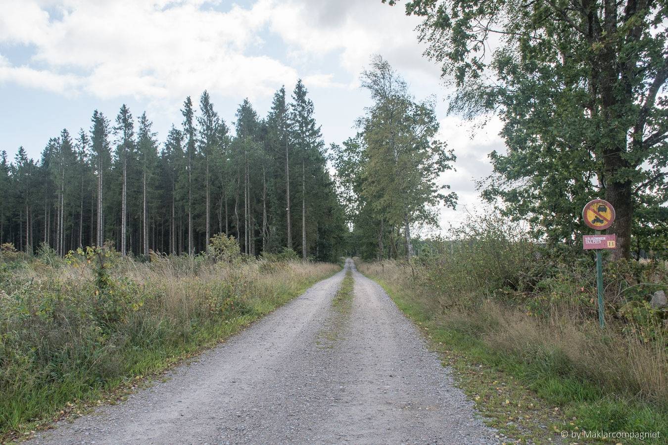 8 rum Villa på Bjärnabodavägen 10 Brösarp Simrishamns kommun - bild 37