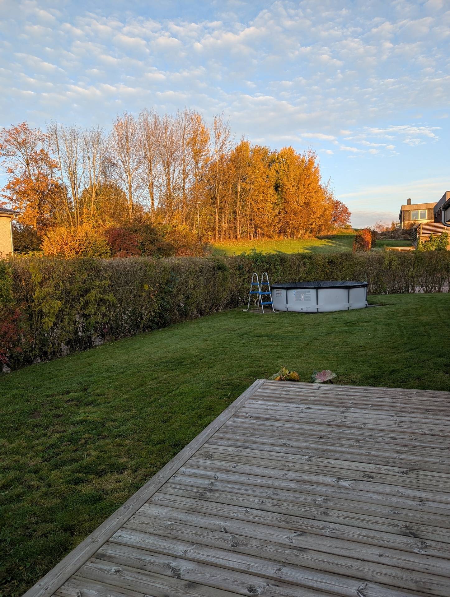 8 rum Villa på Fornkullevägen 8 Gudhem Falköpings kommun - bild 43