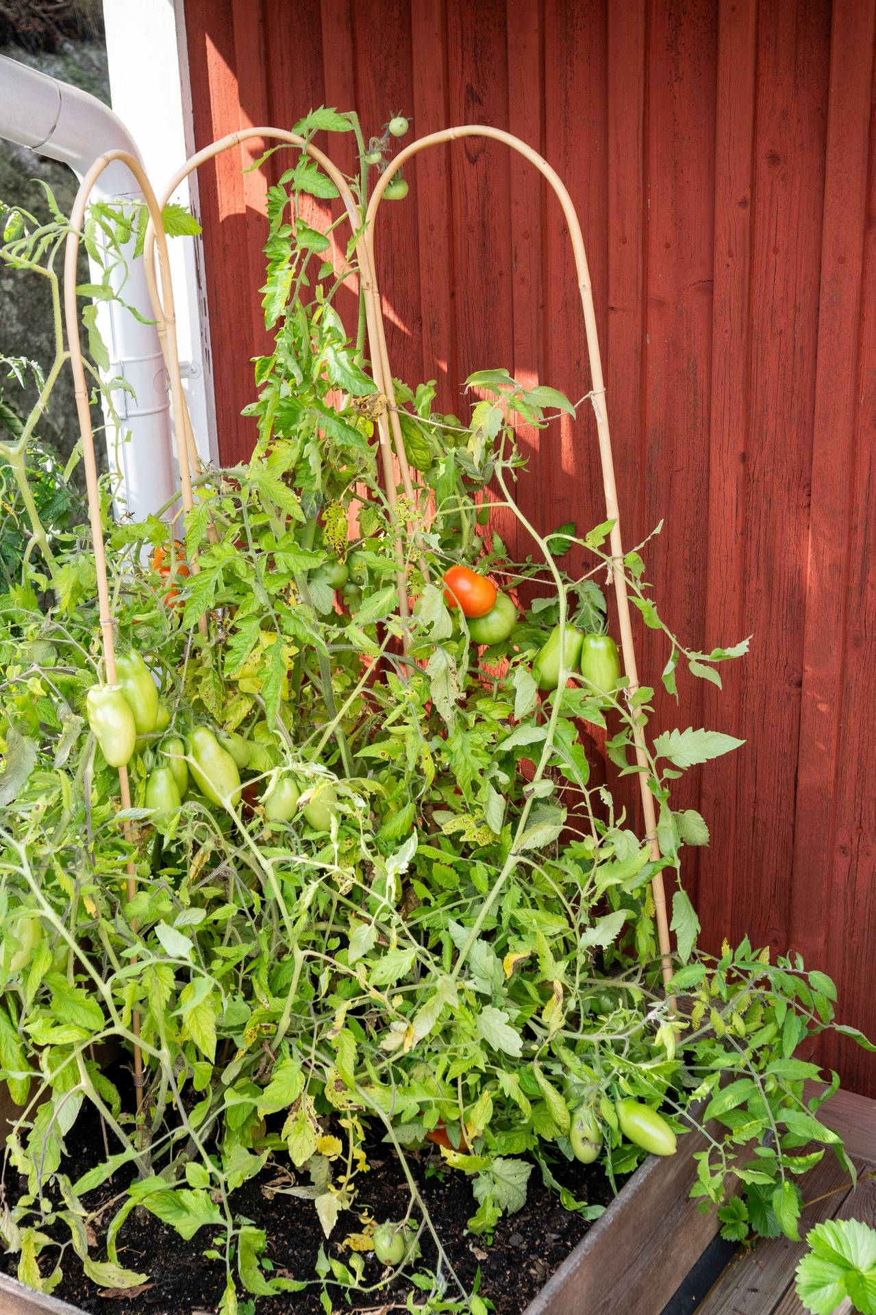 5 rum Villa på Skvattramsstigen 9 Sjöängen Huddinge kommun - bild 44