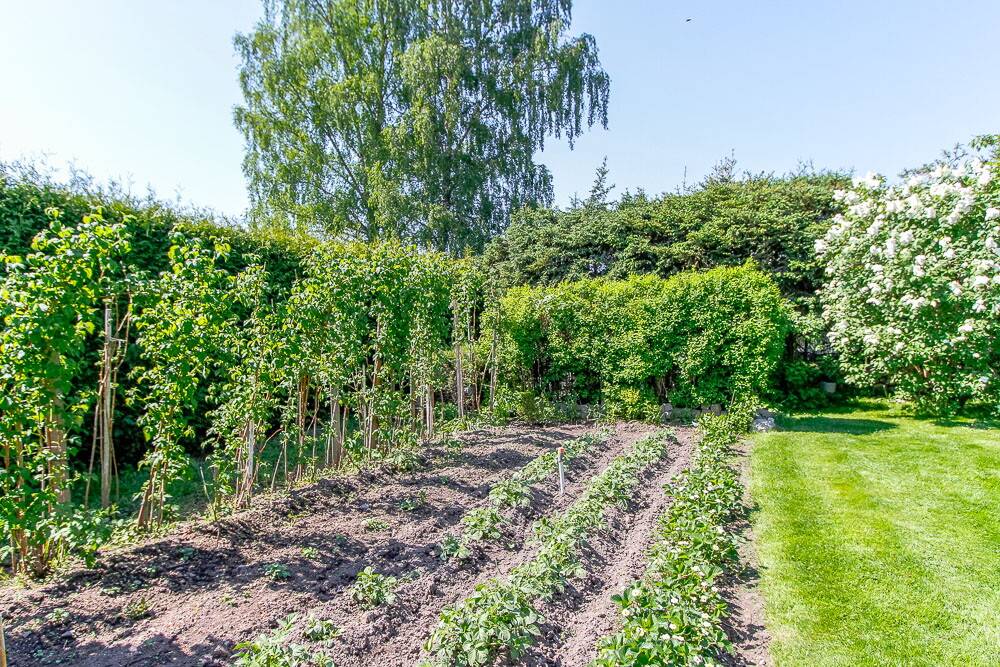 4 rum Villa på Åvägen 23 Nättraby Karlskrona kommun - bild 11