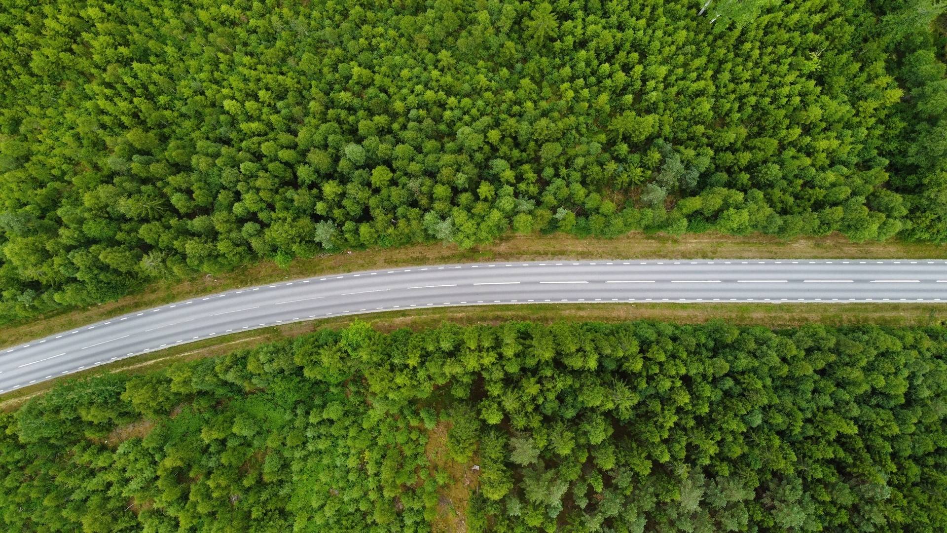 Gård med skogsbruk på Välarronderad jord- och skogsfastighet Stålared Tranemo kommun - bild 14