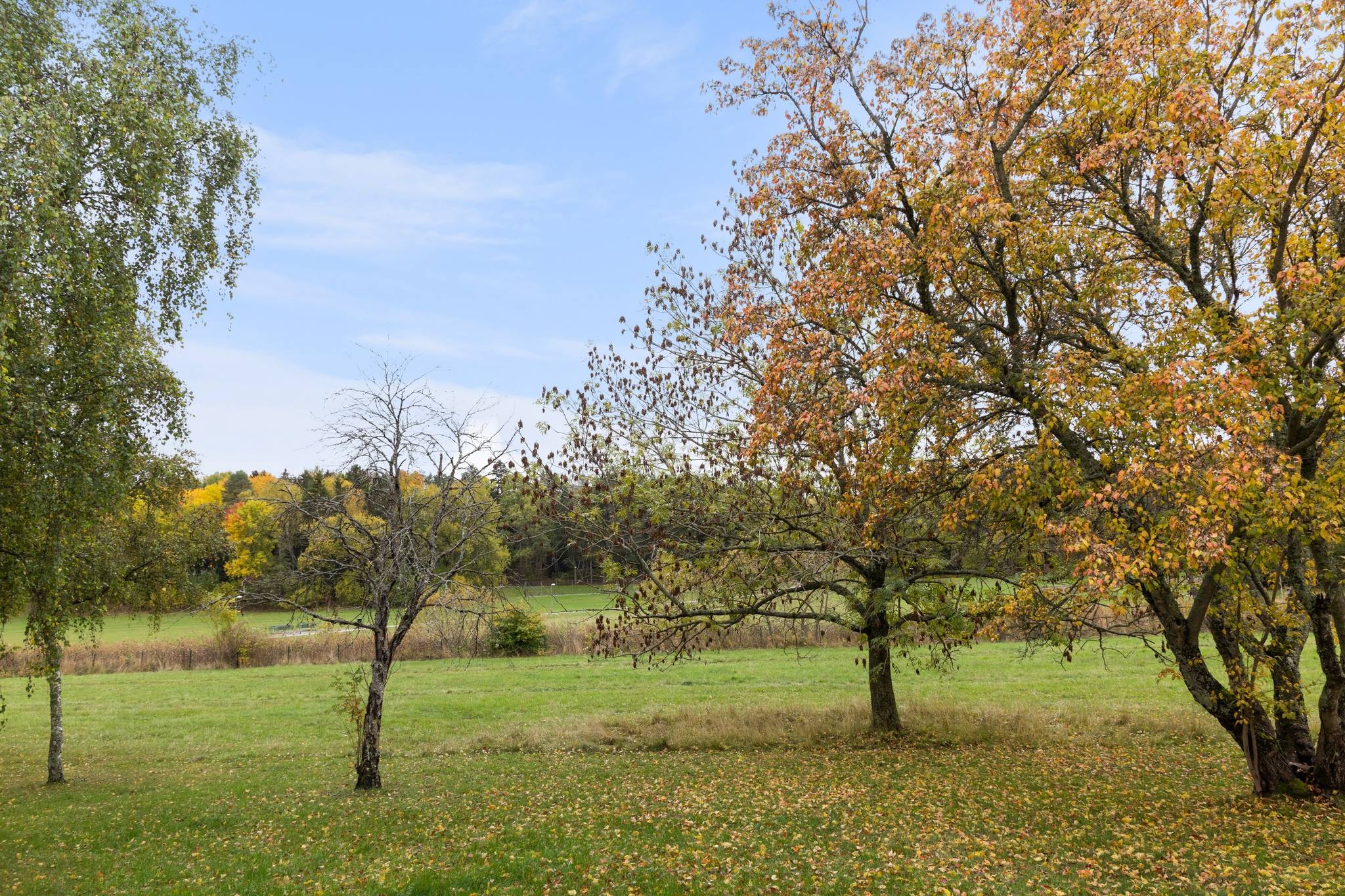 5 rum Parhus på Ryttmästarvägen 55 Vällingby - Nälsta Stockholms kommun - bild 38