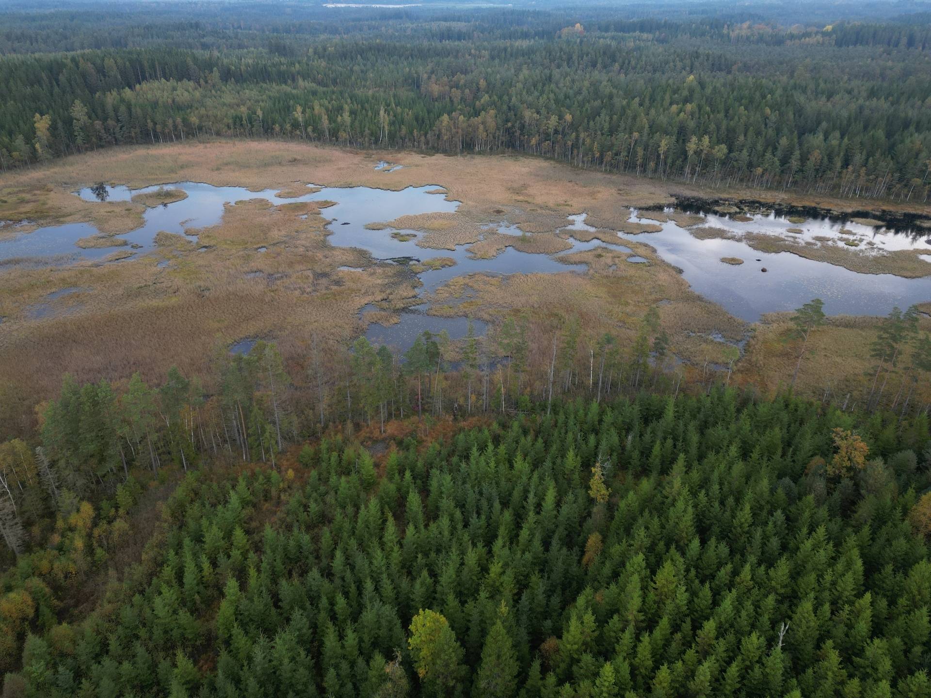 Gård med jordbruk på Yttrebo 107 Hylte kommun - bild 25
