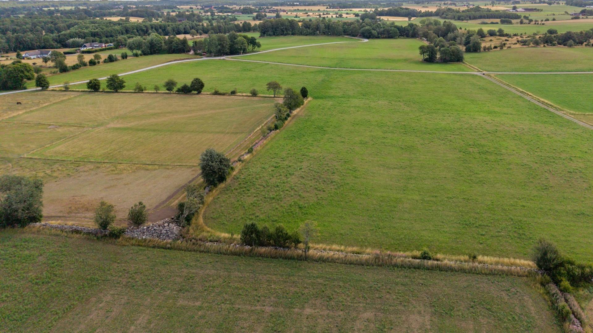 Gård/skog på Pregestadsvägen 383-48 Sjöbo kommun - bild 37
