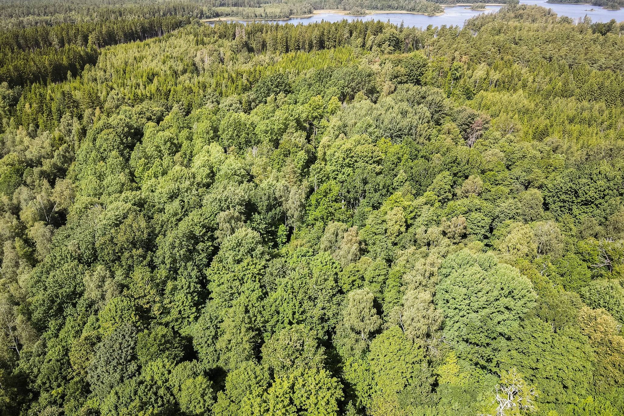 70 m² Gård med jordbruk på Buskahult 132 Holmsjö Karlskrona kommun - bild 19