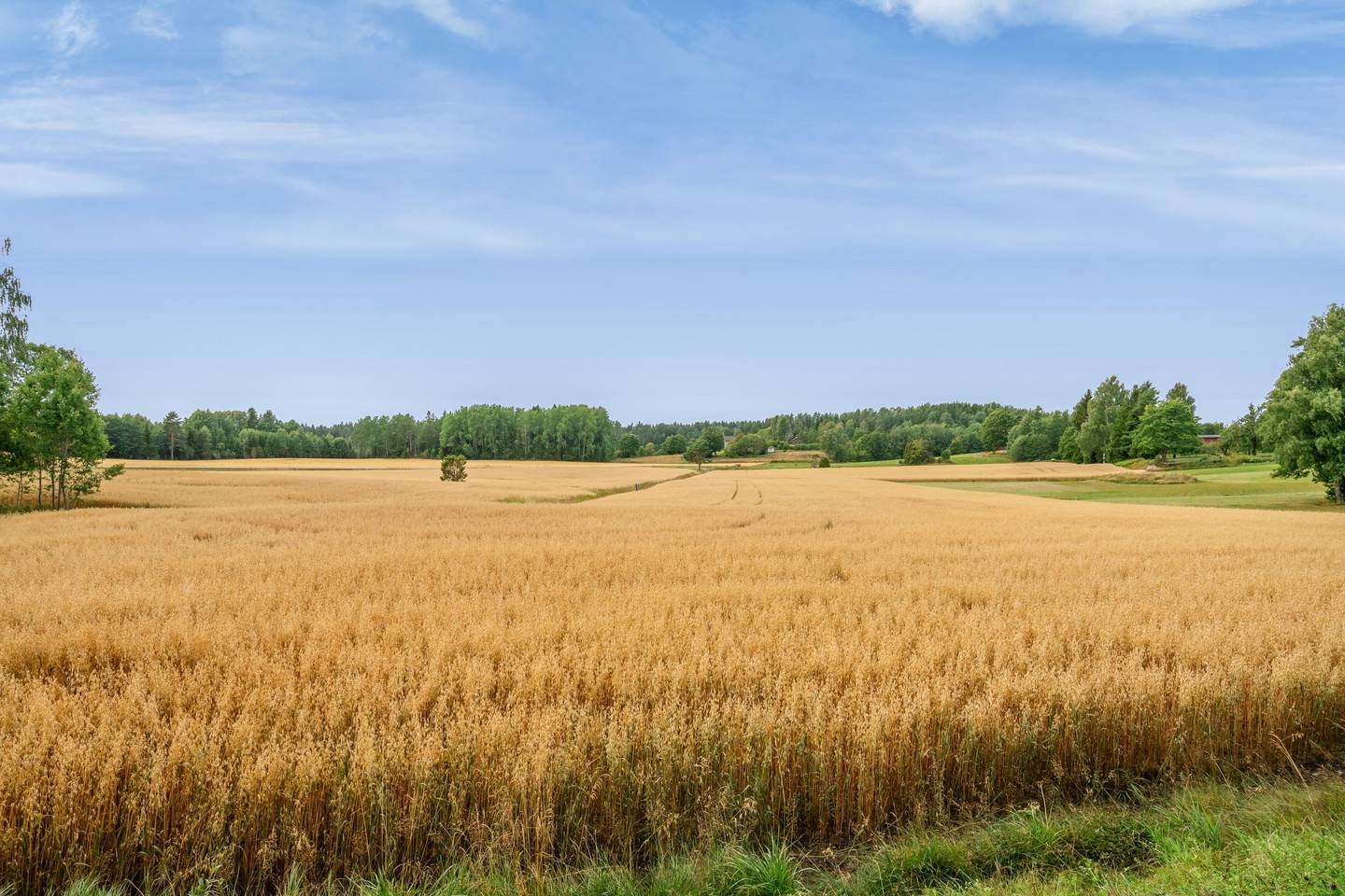 1 rum Fritidshus på Spässlanda Slätta Säffle kommun - bild 43