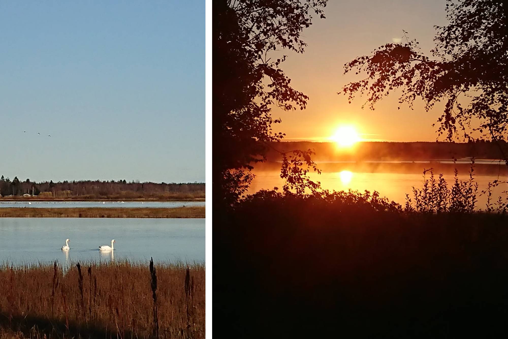 4 rum Villa på Stor-Nabbviken 2 Obbola Umeå kommun - bild 62