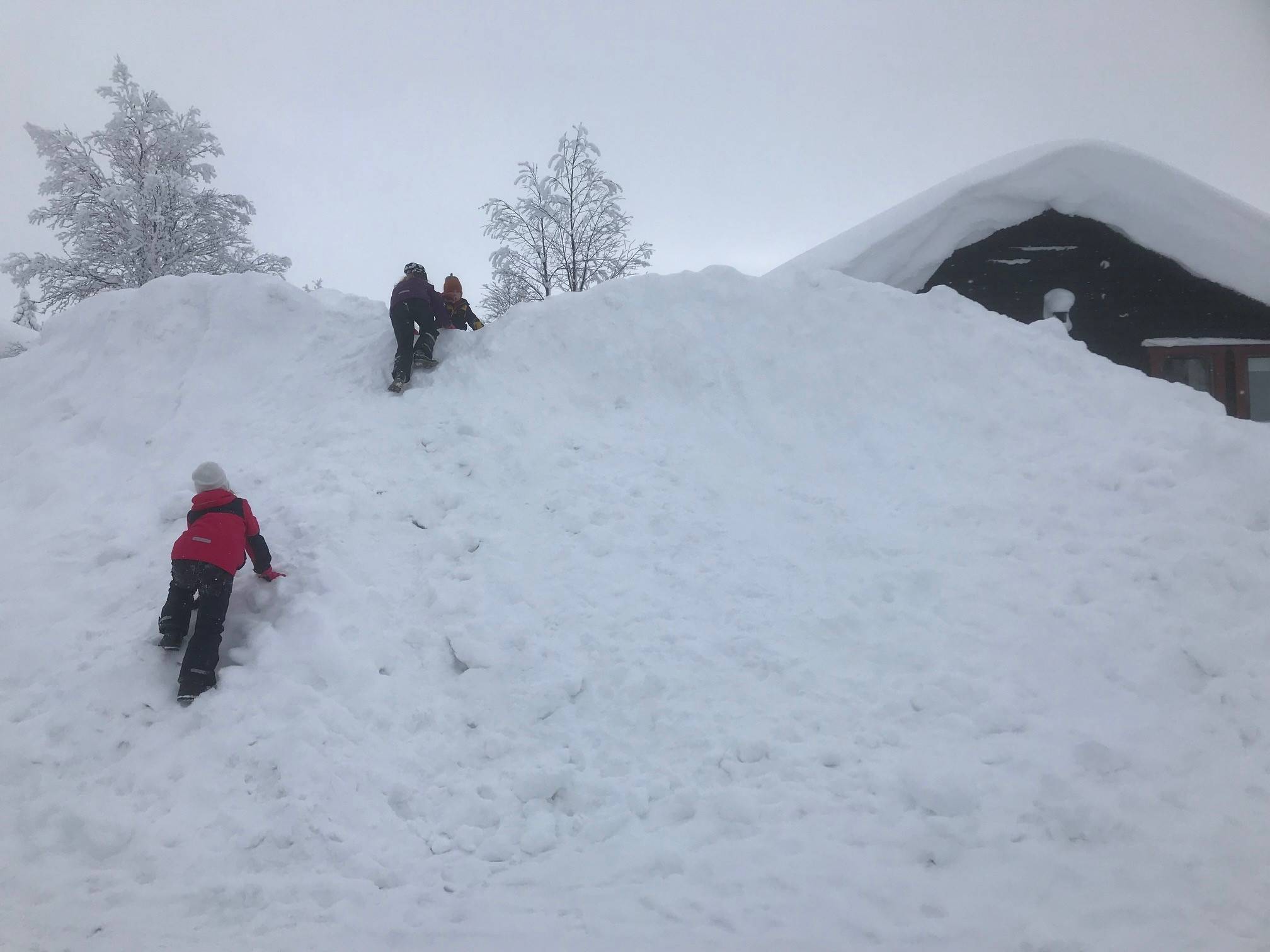 3 rum Fritidshus på Brf.Hemfjällsbyn. Veckor 12 & 38. Hus 17B. SÄLEN Hemfjällsbyn - Högfjället - SÄLEN Malung-Sälens kommun - bild 81
