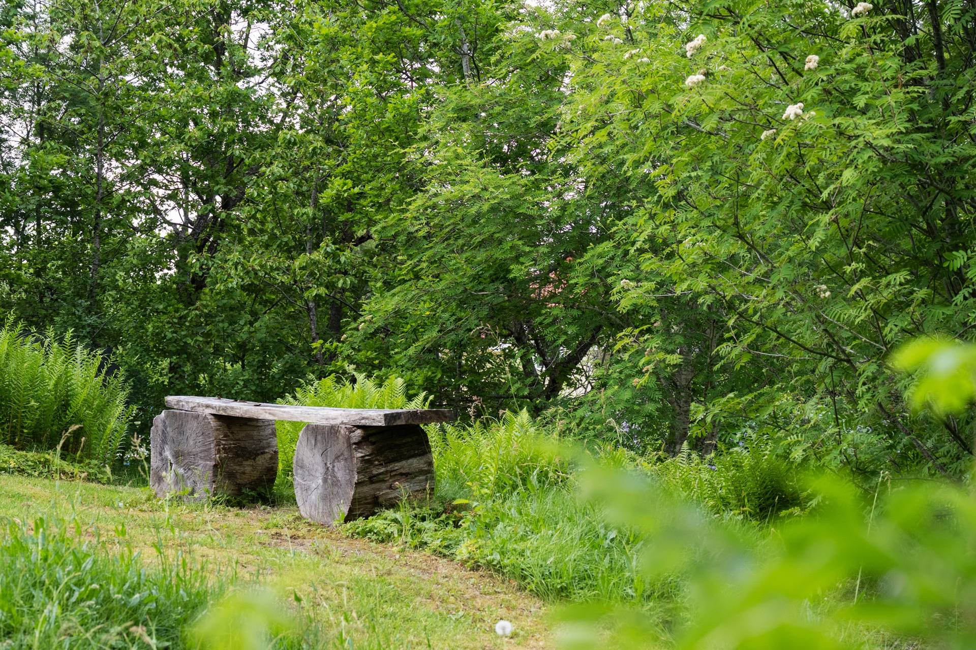 2 rum Villa på Hälle Lider 25 Hälle Uddevalla kommun - bild 36