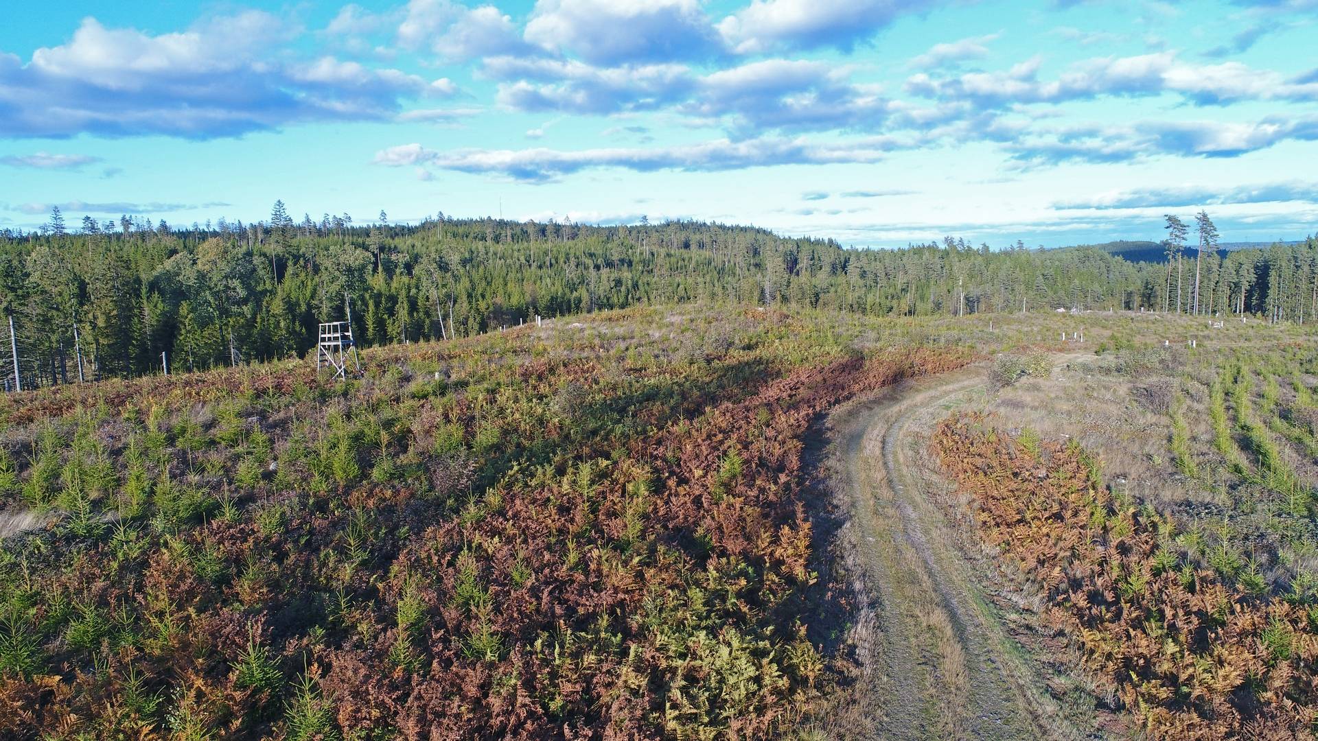 Gård/skog på Högalid Tranemo kommun - bild 9