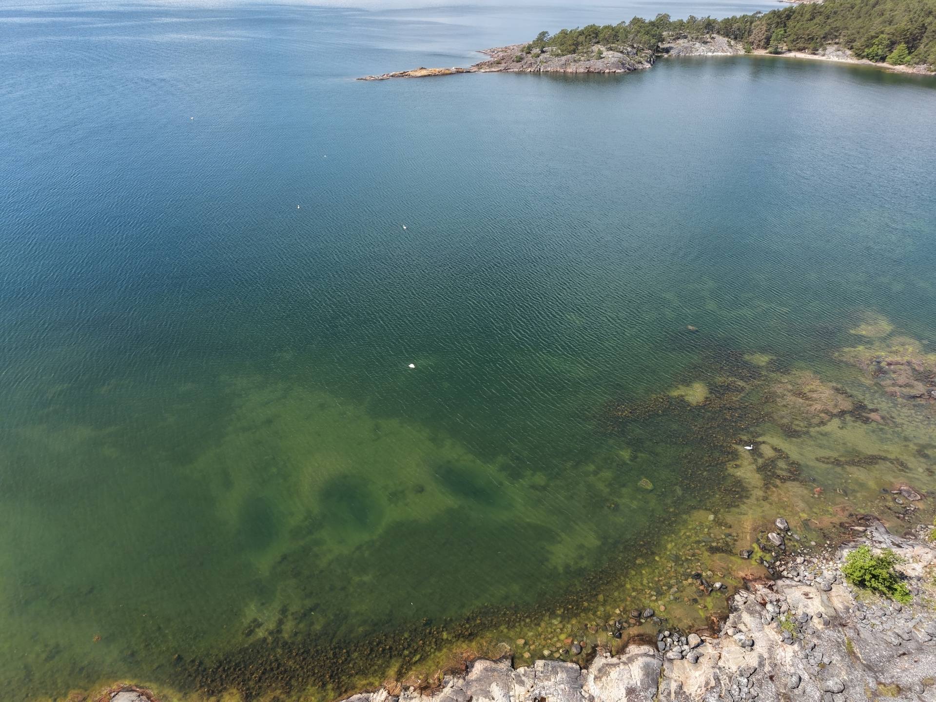 Gård/skog på Vindalsö Vindalsö Värmdö kommun - bild 17