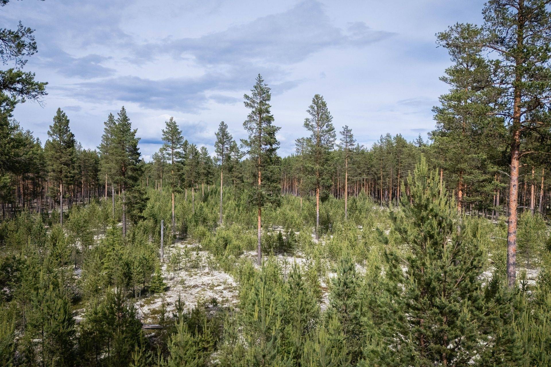 Gård/skog Ljusdals kommun - bild 19