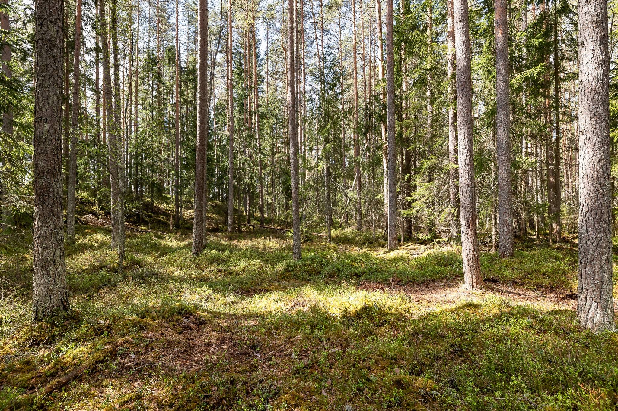 95 m² Gård/skog på Rönne 472 Rönneshytta Askersunds kommun - bild 43