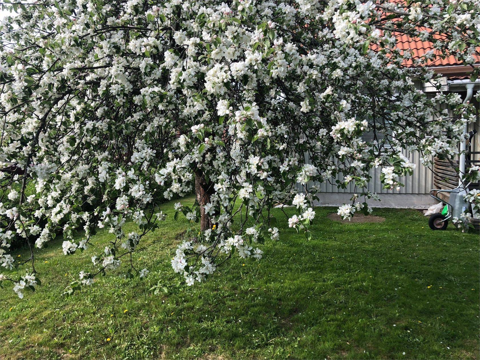 4 rum Villa på Falkvägen 29 Sörby Gävle kommun - bild 46