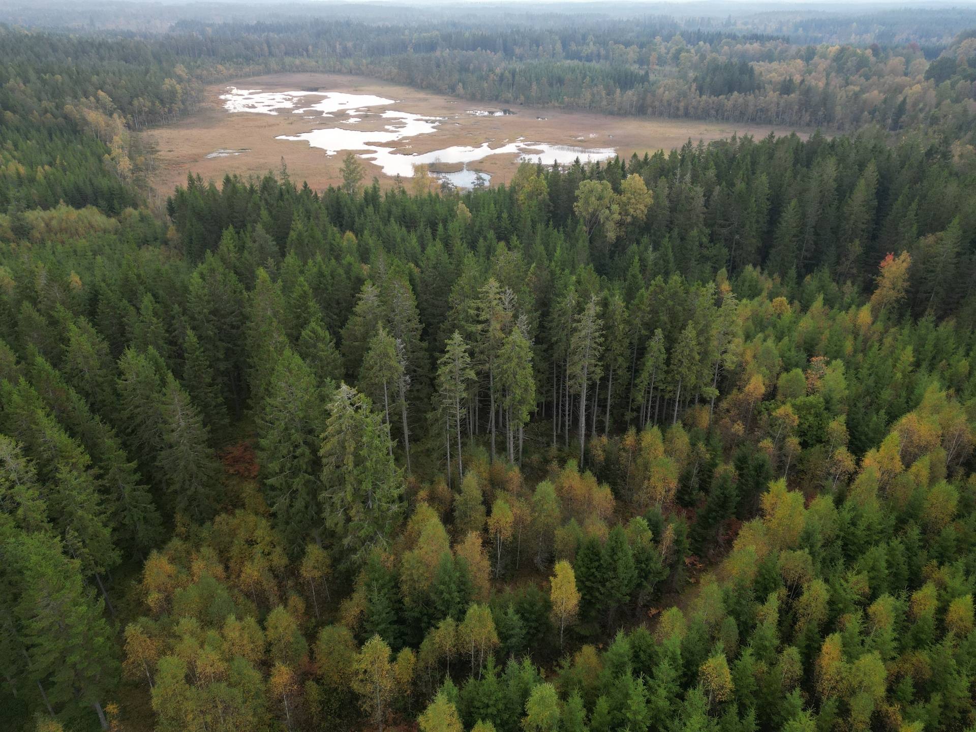 Gård med jordbruk på Yttrebo 107 Hylte kommun - bild 8