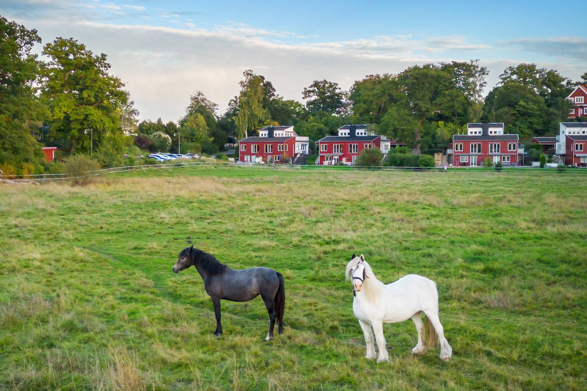 4 rum Parhus på Parkterrassen 13 Ekerö Gällstaö Ekerö kommun - bild 37