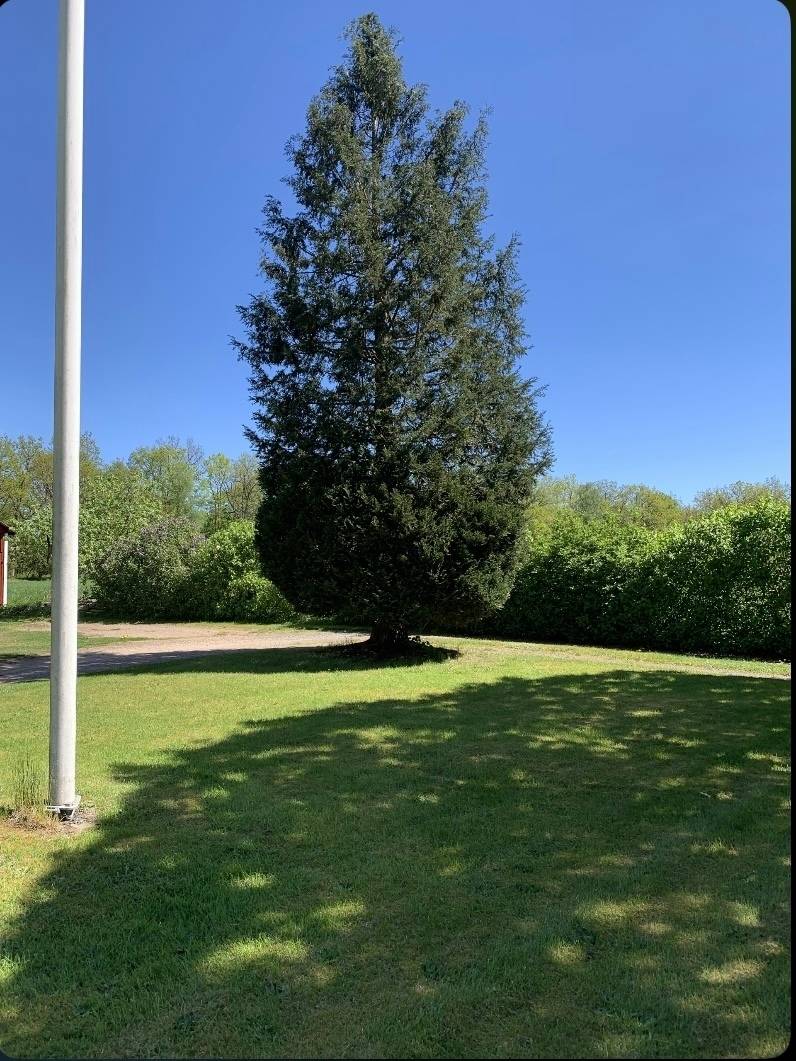 5 rum Villa på Vägasked 109 Norra Rörum Höörs kommun - bild 31