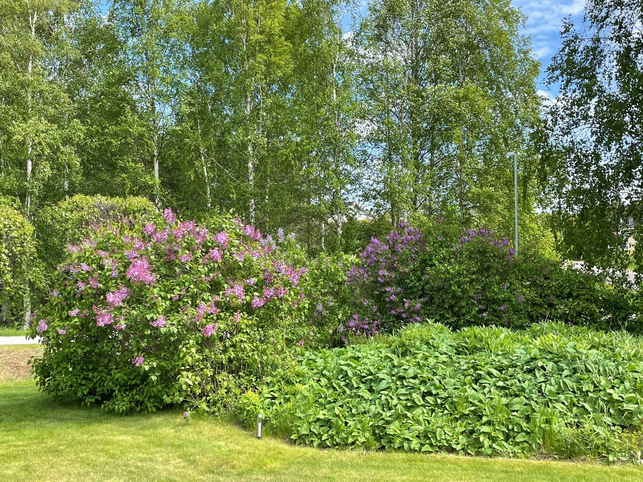 4 rum Parhus på Hyacintvägen 4B Sätra Gävle kommun - bild 44