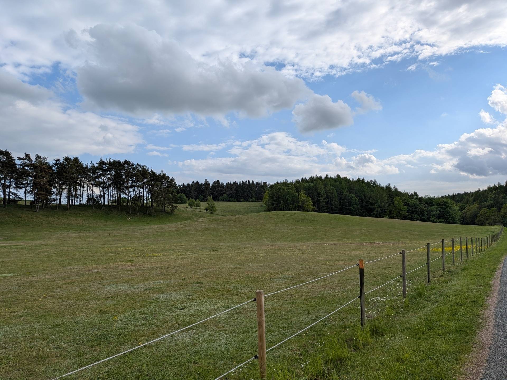 Gård med skogsbruk på Pantaregården 1:1 Sjöbo kommun - bild 3