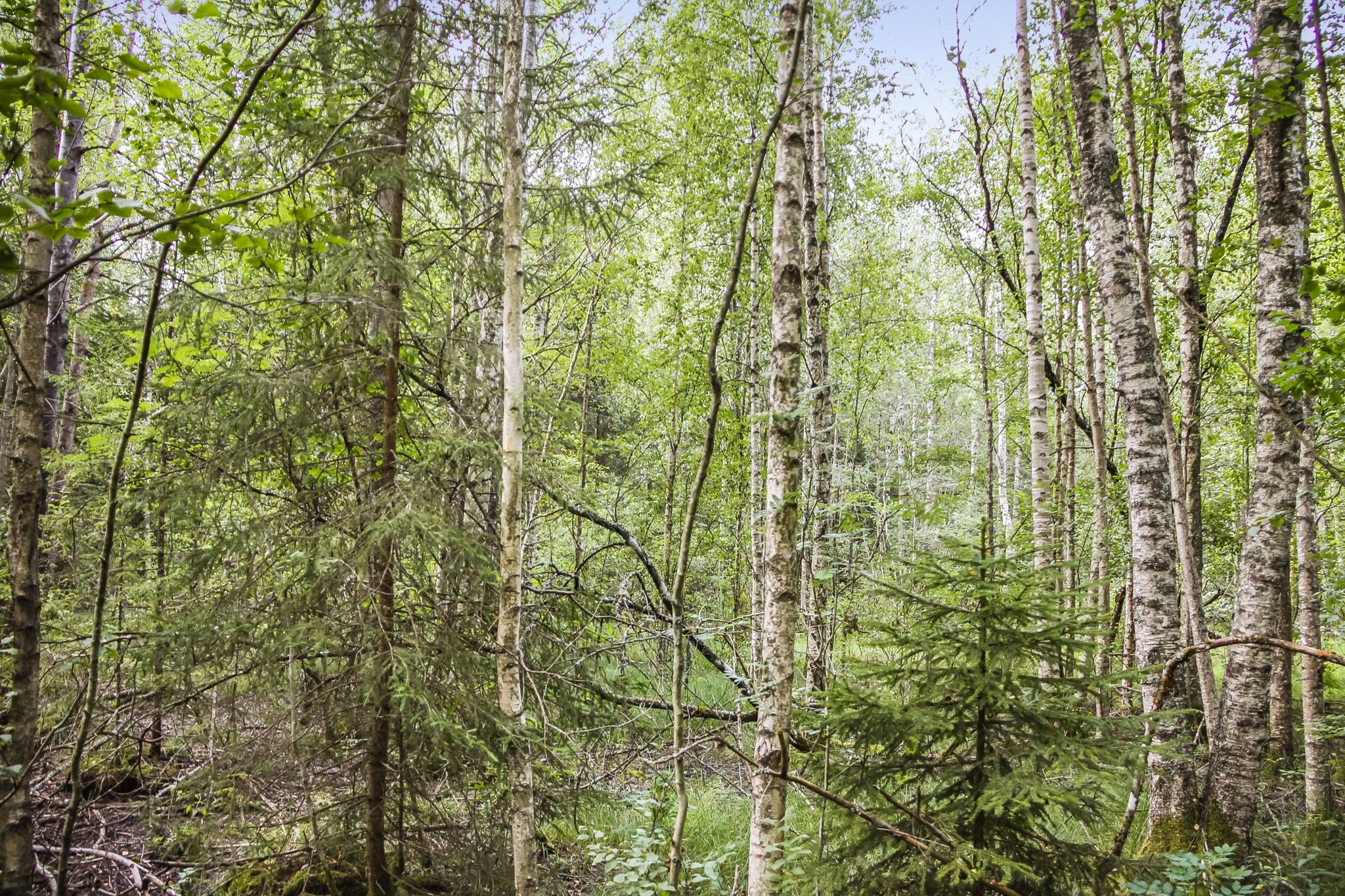 70 m² Gård med jordbruk på Buskahult 132 Holmsjö Karlskrona kommun - bild 34