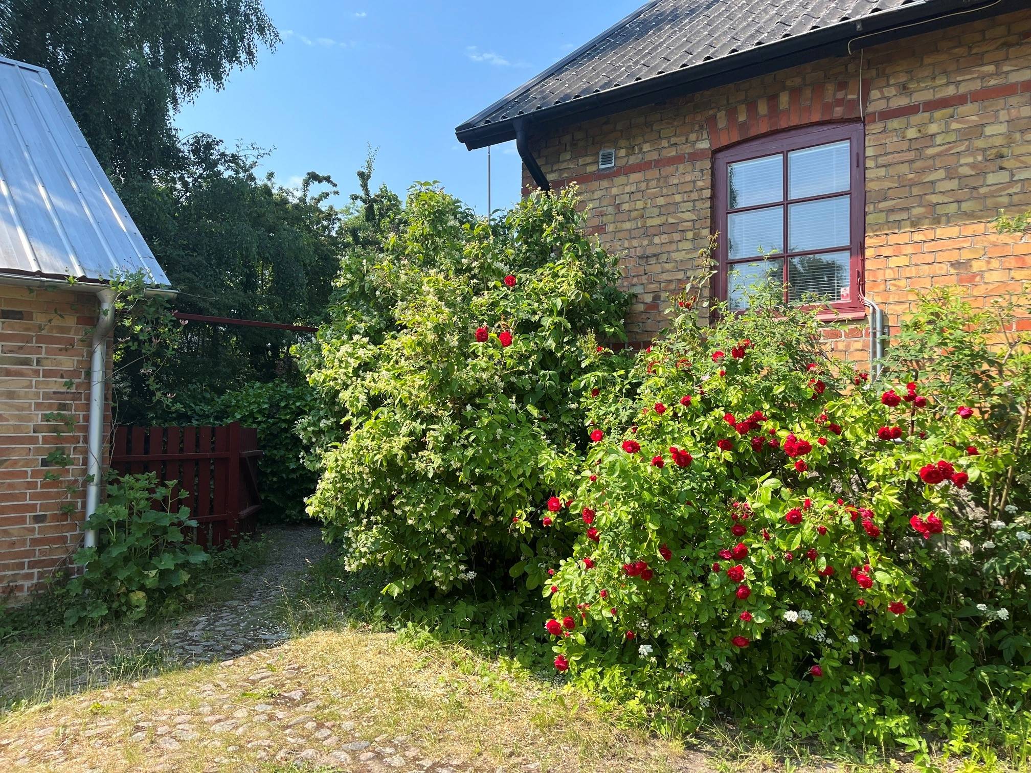 7 rum Villa på Sockenvägen 58 Maglehem Kristianstads kommun - bild 47