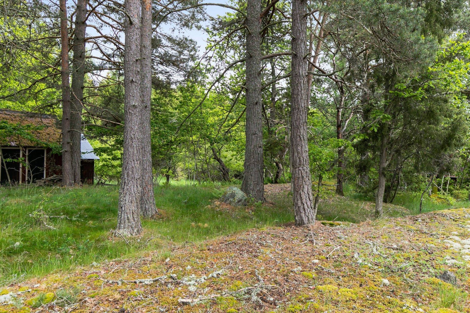 3 rum Fritidshus på Åsängen 4 Bankekind Linköpings kommun - bild 16